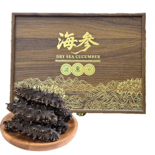 首鲜码头-淡干海参A款